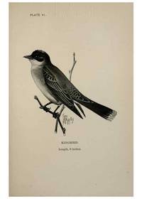 Reproducción/Reproduction 7365408700: Birdcraft :. New York :Macmillan Co.,c1897.