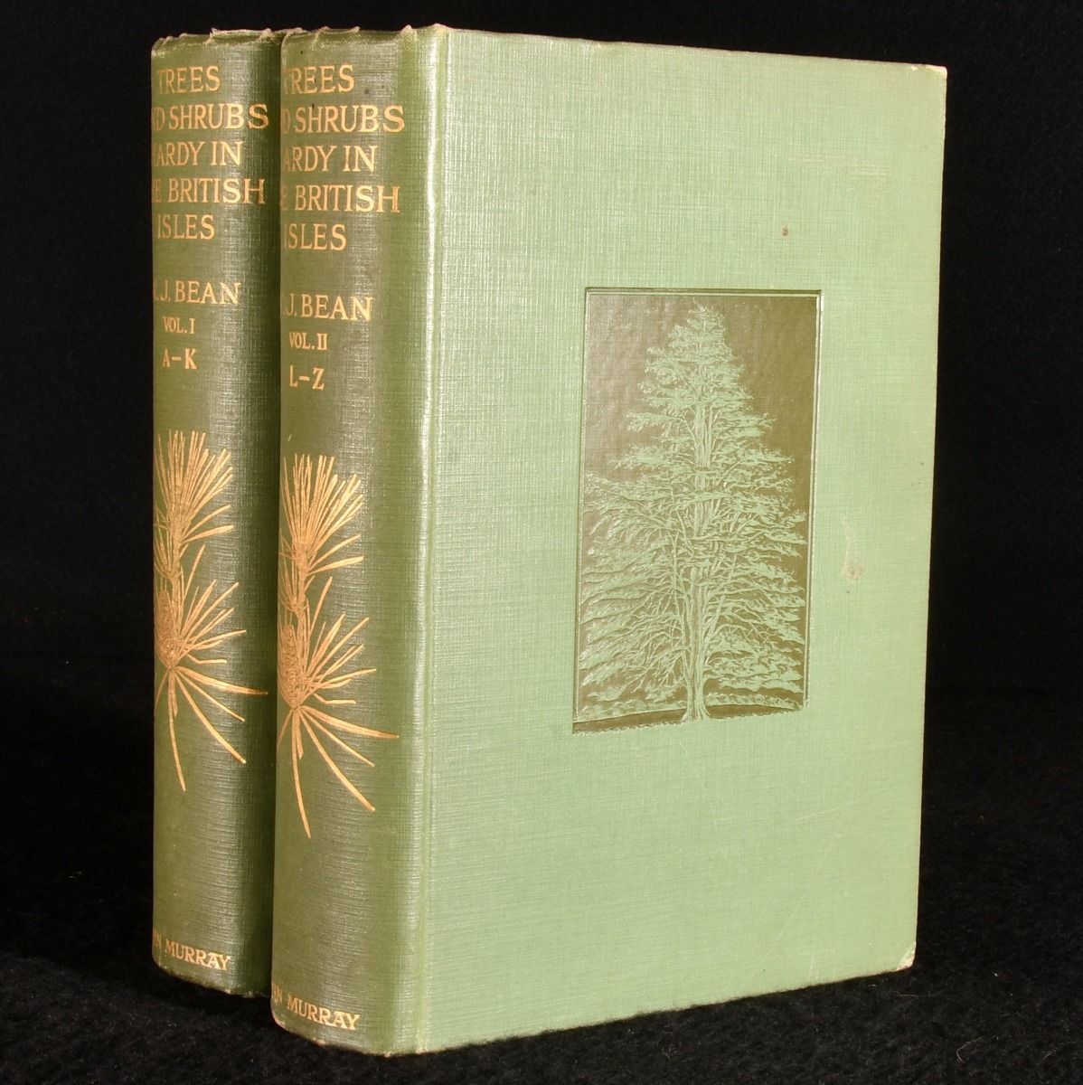 Trees and Shrubs Hardy in the British Isles by W. J. Bean Hardcover