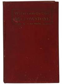 With God in the Yellowstone