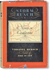 image of Storm Beach: A Novel of Charleston