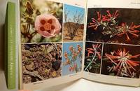 Wildflowers of Western America by ORR, Robert T.; ORR, Margaret C - 1974