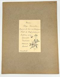 [MENU] ] Original Art - Menu