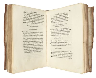 [Title in Greek and Latin] Scholia in...; (photo 6)