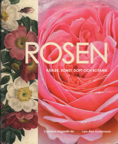 ROSEN - kärlek, konst, doft och botanik.