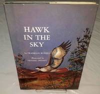 cover of HAWK IN THE SKY