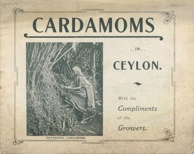 Cardamoms in Ceylon: With the Compliments of the Growers. [Cover title; caption title: Cardamoms. (Elettaria Cardamomum)]