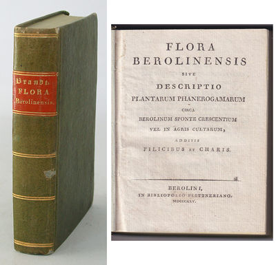 Flora Berolinensis sive descriptio plantarum…