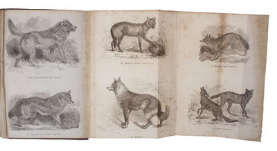 Priruchennyie zhivotnyie i vozdelannyie rasteniya [i.e. Russian "The Variation of Animals and Plants under Domestication". Translated from English with the consent and assistance of the author by V. Kovalevsky. Edited by I. M. Sechenov, botanical sect... - [THE VERY FIRST PUBLICATION OF DARWIN'S 'VARIATION UNDER DOMESTICATION' IN ANY LANGUAGE. ] (photo 5)