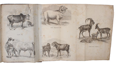 Priruchennyie zhivotnyie i vozdelannyie rasteniya [i.e. Russian "The Variation of Animals and Plants under Domestication". Translated from English with the consent and assistance of the author by V. Kovalevsky. Edited by I. M. Sechenov, botanical sect... - [THE VERY FIRST PUBLICATION OF DARWIN'S 'VARIATION UNDER DOMESTICATION' IN ANY LANGUAGE. ] (photo 6)