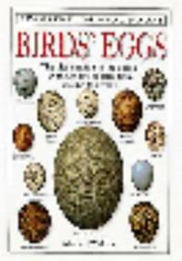Birds' Eggs