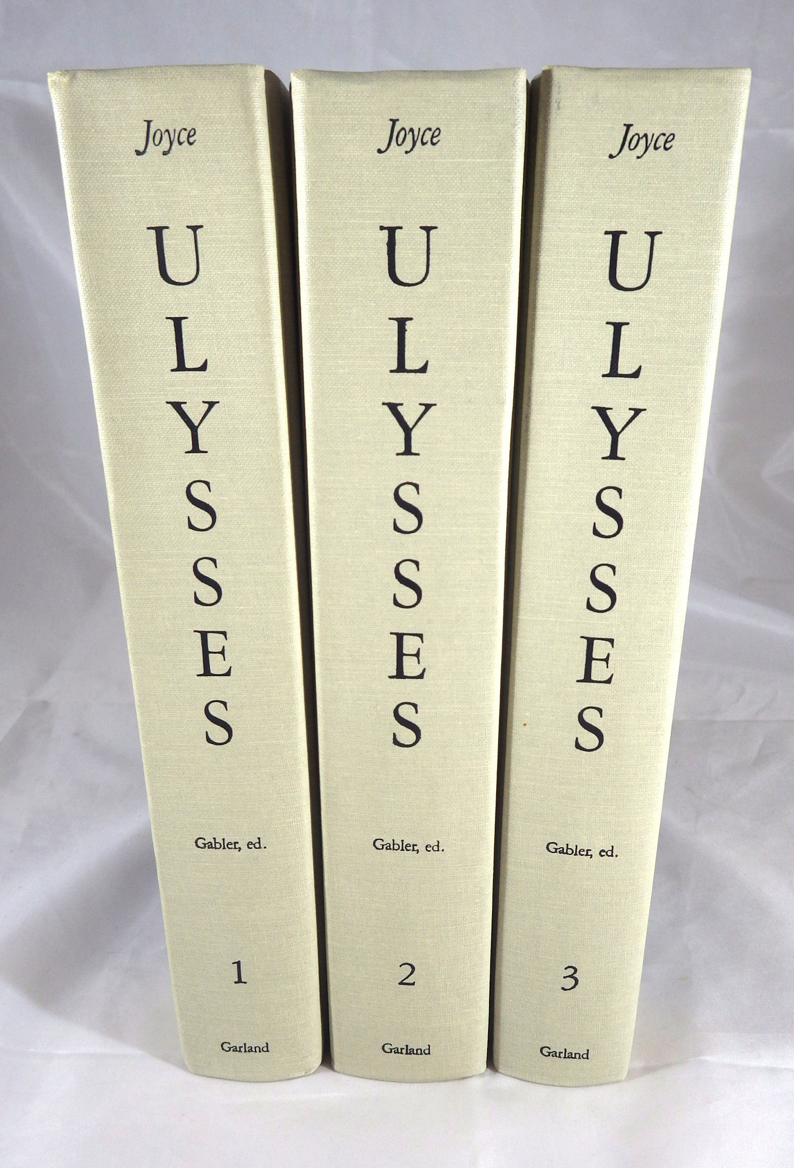 洋書 Critical Essays on James Joyce's Ulysses 710odoeIvqL._UF1000,1000_QL80_.jpg