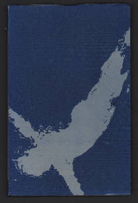 Where We Swam When We Were Swimmers