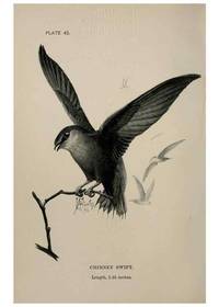 Reproducción/Reproduction 7180185265: Birdcraft :. New York :Macmillan Co.,c1897.