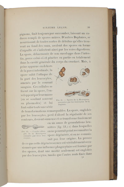 Leçons sur la pathologie comparée de l'inflammation faites à l'Institut Pasteur en Avril et Mai 1891- (photo 6)