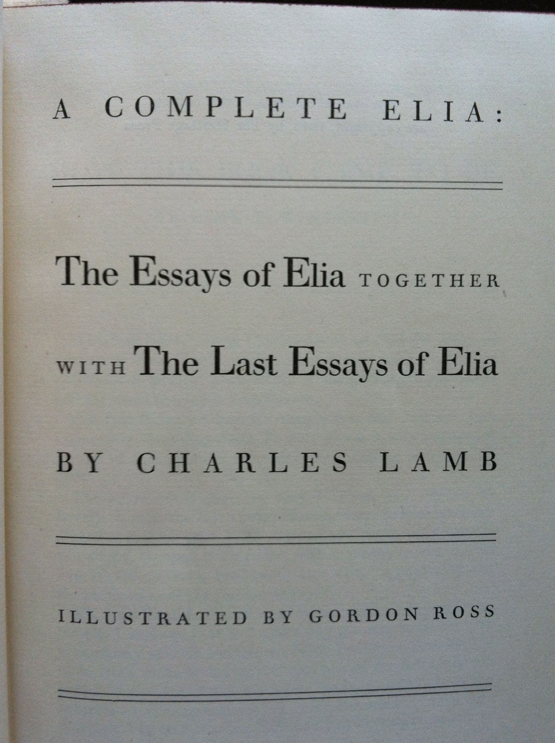 Noisily comparative essay
