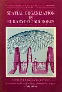 Spatial organization in eukaryotic microbes