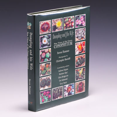 New Views of the Genus Conophytum コノフィツム Dumpling and His Wife: New Views of the Genus Conophytum by Hammer