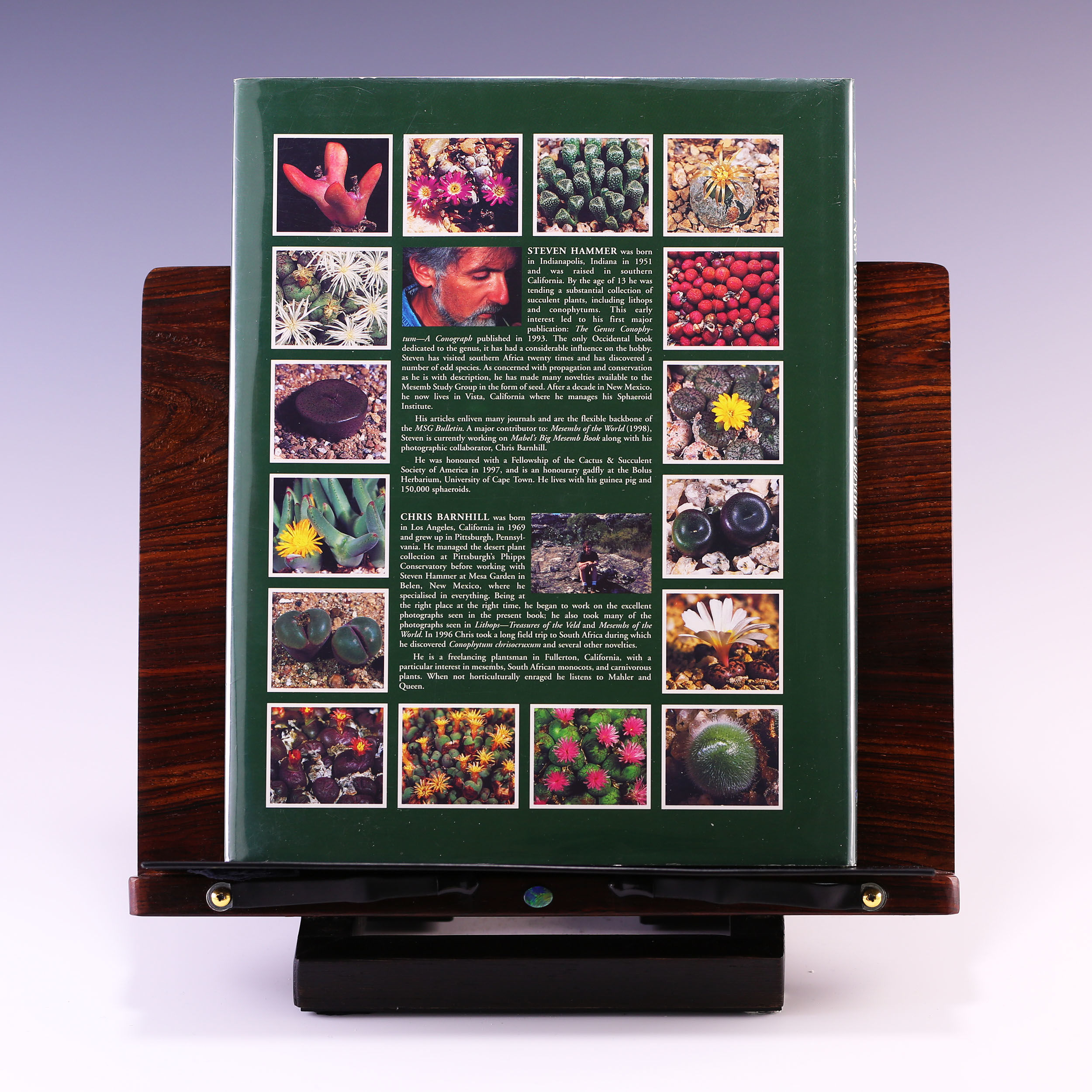 Dumpling and His Wife: New Views of the Genus Conophytum by