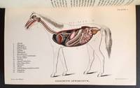 Special Report on Diseases of the Horse