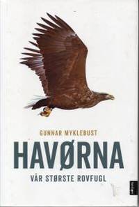 Havørna. Vår største rovfugl