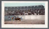 1902 Mexican Bull Fight Postcard Placing the Banderillos