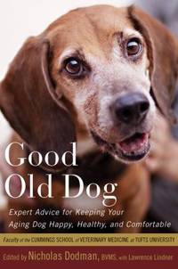 Good Old Dog : Expert Advice for Keeping Your Aging Dog Happy, Healthy, and Comfortable