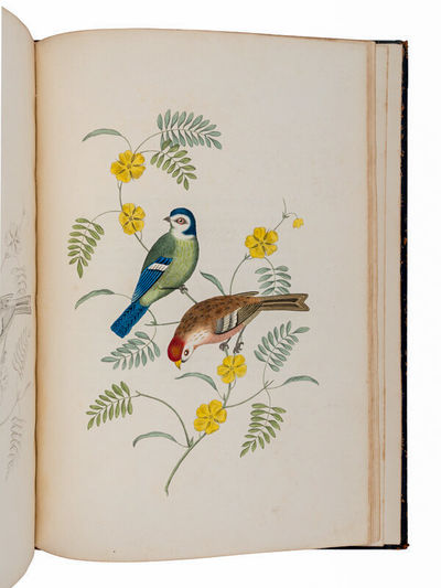London: Thomas McLean, printed by Turner and Hadley, Minerva Press, 1819. Second Edition. Hardcover....