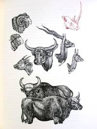 THE DESCENT OF MAN & SELECTION IN RELATION TO SEX