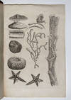 Epistola Selectas de re naturali obervationes complectens accessere ex historia naturali curiosa