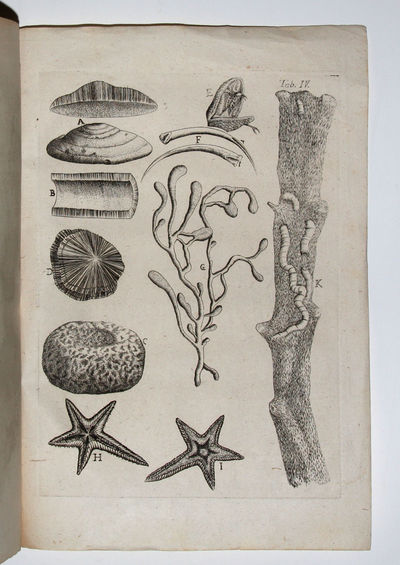 Epistola Selectas de re naturali obervationes complectens accessere ex historia naturali curiosa