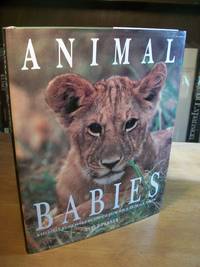 Animal Babies: A Habitat-By-Habitat Guide to How Wild Animals Grow by Parker, Steve - 1994