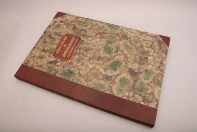 Atlas colorié de Spedalskhed (Elephantiasis des Grecs). Publié aux frais du Gouvernement Norvégien. (photo 4)