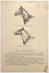 Black Beauty-era Animal Cruelty Educational Circular -- Anti-Check Rein