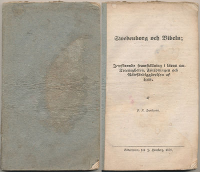 Swedenborg och Bibeln; jemförande framställning i…