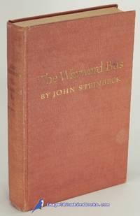 image of The Wayward Bus
