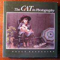 The CAT in PHOTOGRAPHY