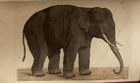 Utkast till elefantens naturalhistoria. Med tvenne i koppar graverade tabeller, ritade och...
