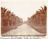 Entrance to East Lake Park. Los Angeles, Cal. [photo]