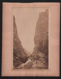 The Royal Gorge (8179) [Colorado] [Railroad]