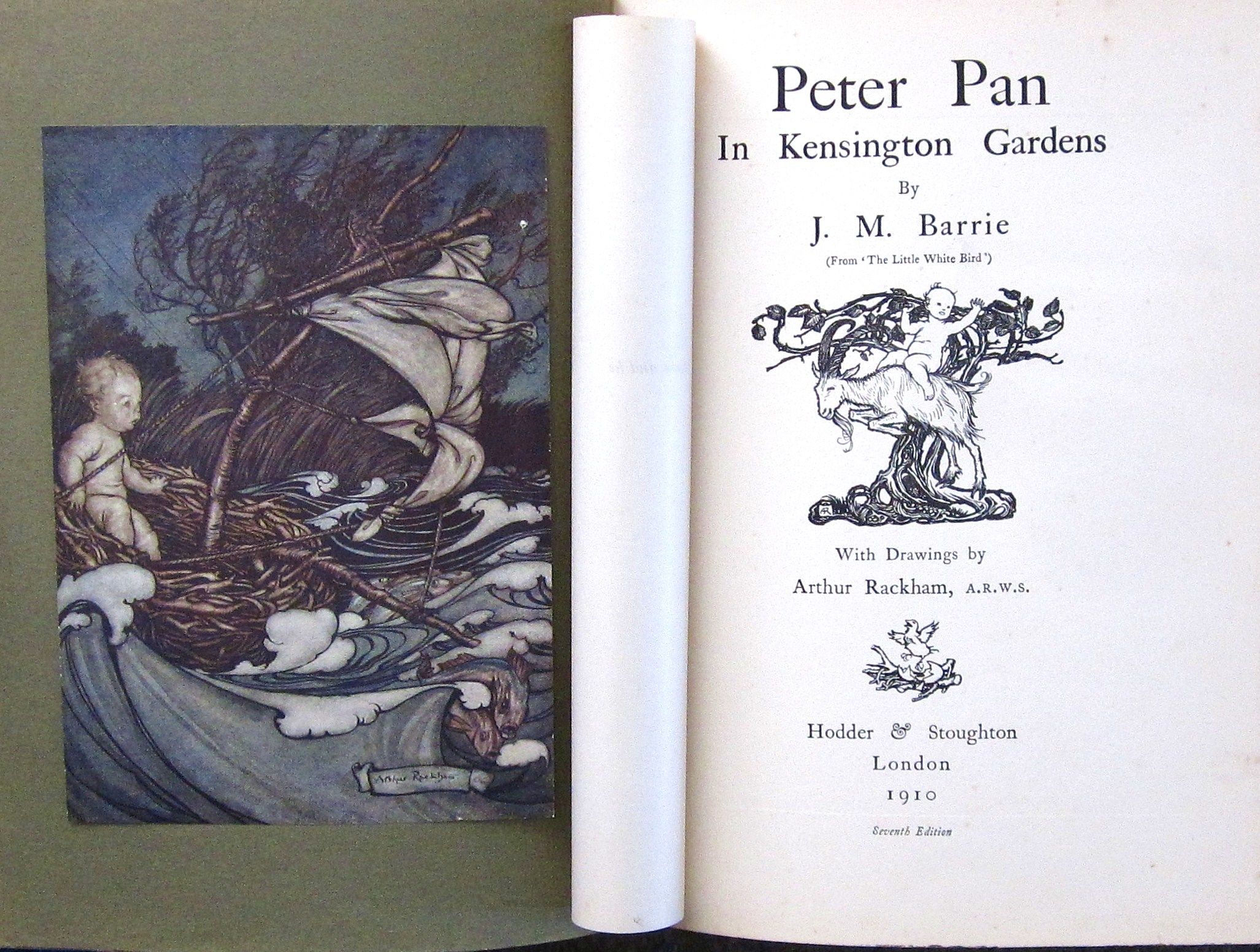 The Little White Bird