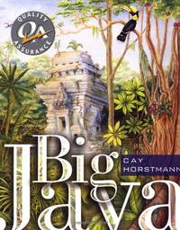 cover of Big Java: Programming and Practice
