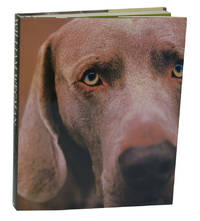 William Wegman: Polaroids