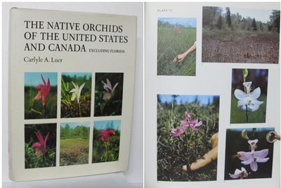 The Native Orchids of the United States and…
