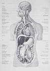 Lernt Helfen: Ein Raumbildwerk der ersten Hilfe für Laienhelfer (Learn to Help: A Stereo View of First Aid for the Layman)