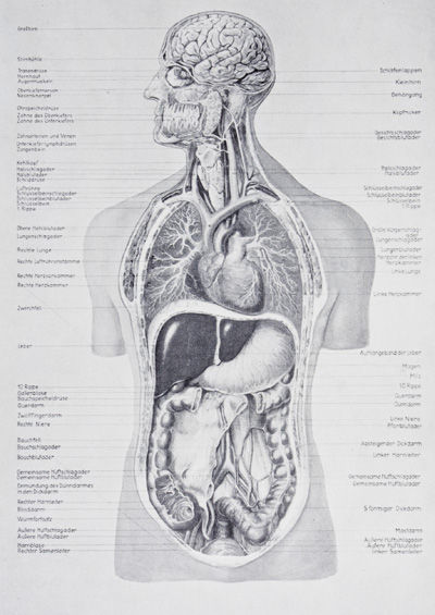 Lernt Helfen: Ein Raumbildwerk der ersten Hilfe für Laienhelfer (Learn to Help: A Stereo View of First Aid for the Layman)