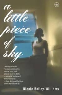 A Little Piece of Sky : A Novel