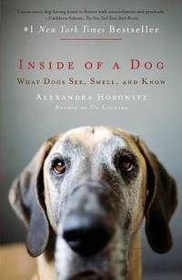 image of Inside of a Dog