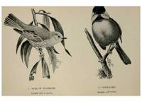 Reproducción/Reproduction 7365369854: Birdcraft :. New York :Macmillan Co.,c1897.