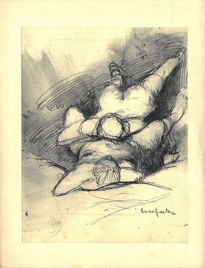 La toison d’or. Roman illustré de vingt…