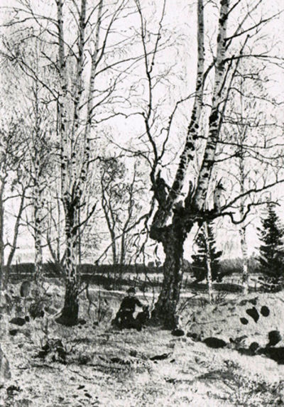 A. T. Gellerstedt. 1836-1914. Prins Eugens…